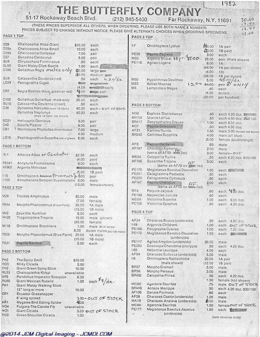 The Butterfly Company (NY) 6 Page catalog (1982)